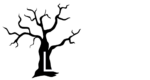 lolivera logo 01 1024x594